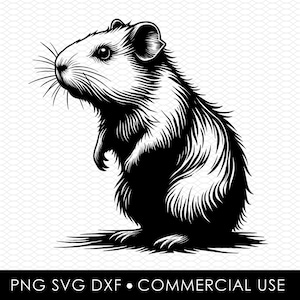 guinea pig svg dxf png, laser cut file, sublimation design, svg cut file, laser burn file, sublimation png, laser engraving, cricut download