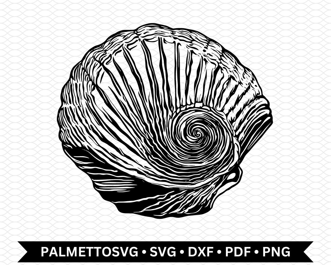 Sea Shell Svg, Sea Shell Dxf, Sea Shell Cut File, Sea Shell Png, Svg