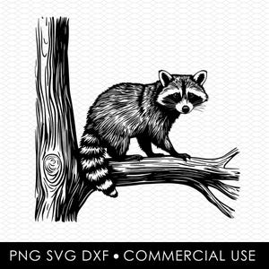 Raton laveur svg png, svg de raton laveur, raton laveur coupé fichier, png de raton laveur, dessins par sublimation, dessins png, dessins svg, dessins découpés au laser, conception cricut