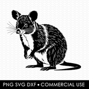 Possum svg png, possum svg, opossum png, opossum dxf, dessins par sublimation, dessins png, dessins svg, dessins découpés au laser, conception cricut