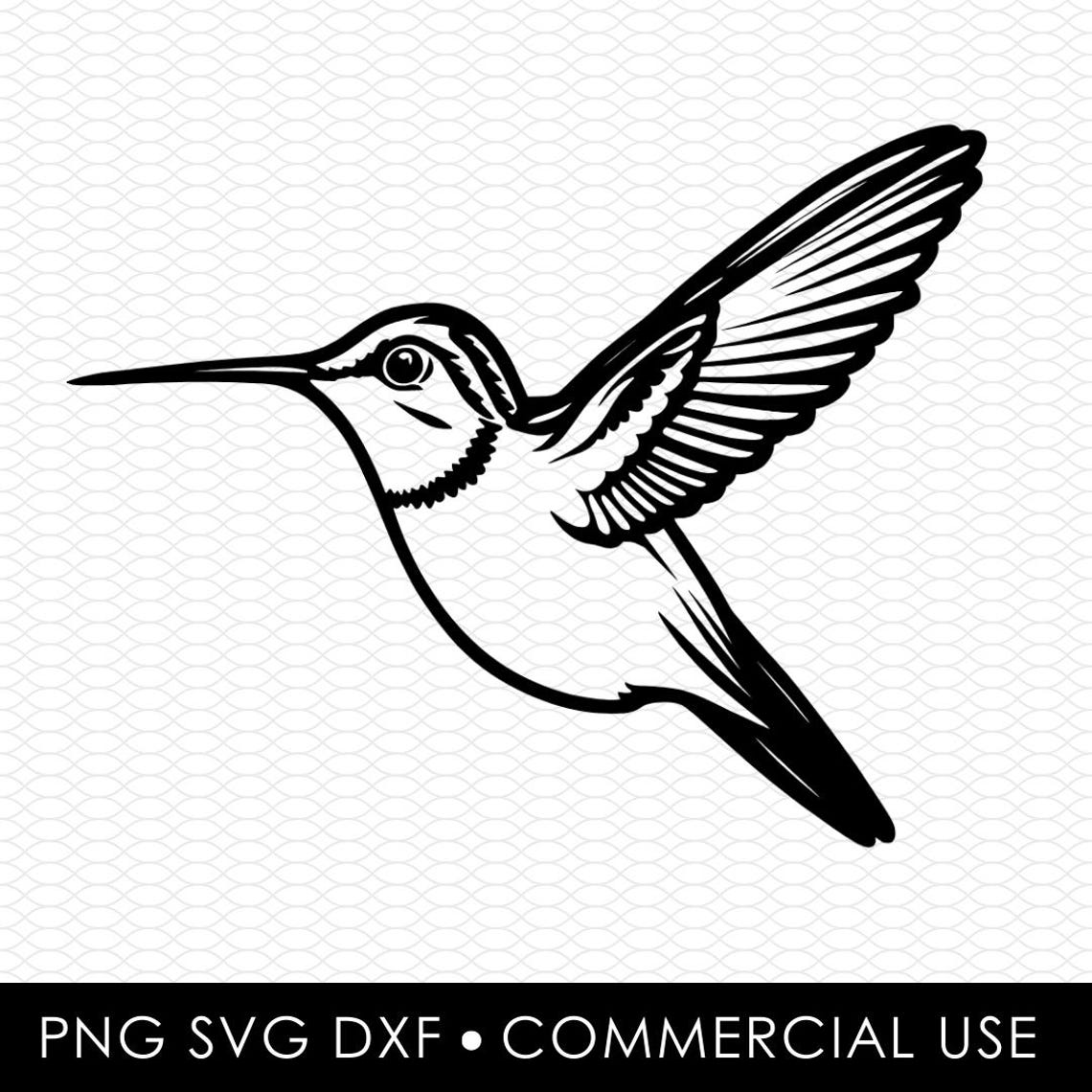 Colibi Svg Colibri svg png, svg colibri, colibri png, dessins par sublimation ...