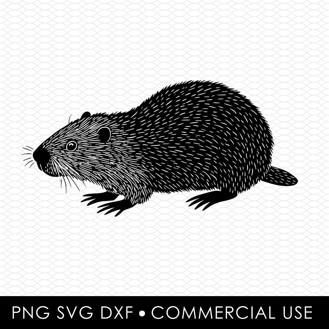 Small Beaver Design Beaver Svg Png, Beaver Svg, Beaver Png, Beaver Png Design, Sublimation ...