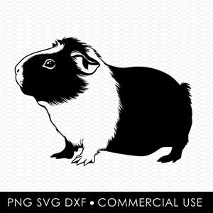 guinea pig svg dxf png, laser cut file, sublimation design, svg cut file, laser burn file, sublimation png, laser engraving, cricut download