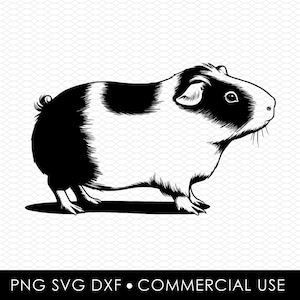 guinea pig svg dxf png, laser cut file, sublimation design, svg cut file, laser burn file, sublimation png, laser engraving, cricut download
