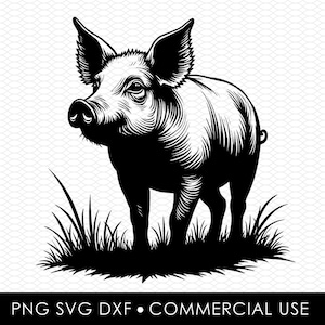 pig svg dxf png, laser cut file, sublimation design, svg cut file, laser burn file, sublimation png, laser engraving, cricut download