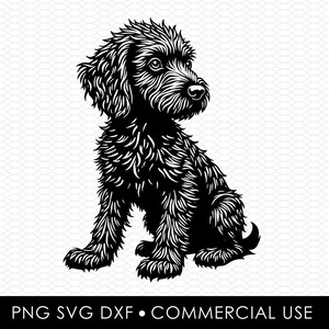 Labradoodle svg, Labradoodle png, Labradoodle schnitt Datei, Sublimationsentwürfe, Png-Designs, svg Designs, Labradoodle-Laserschnittdesigns