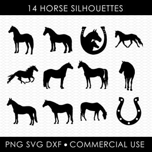 Pferd svg png, Sublimationsdesigns, png Designs, svg Designs, Laserschnittdesigns, Cricut Designs, Clip Art, dxf Datei, kommerzielle Nutzung