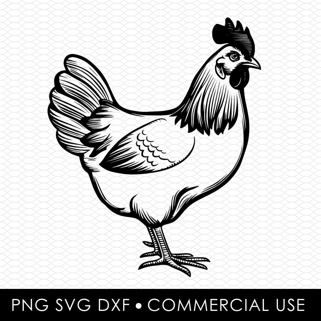 Chicken Svg Png, Chicken Svg, Chicken Png, Sublimation Designs, Png ...