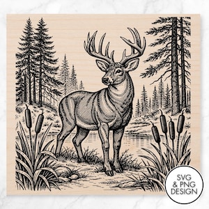 May include: A detailed black and white illustration of a deer with large antlers standing near a lake, surrounded by trees and reeds. The image has a rustic, vintage feel, with the text "SVG & PNG DESIGN" in a circular logo.