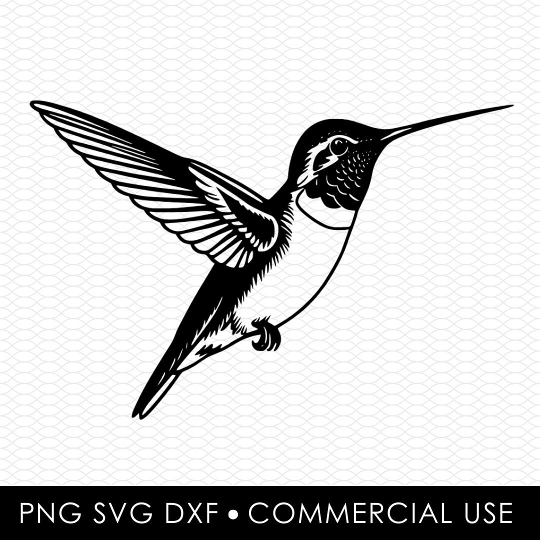 Hummingbird Svg Dxf Png, Laser Cut File, Sublimation Design, Svg Cut ...