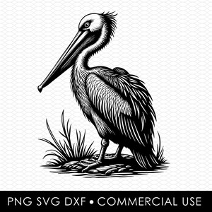 Pelikan svg, Pelikan png, Pelikan Sublimationsentwürfe, Png-Designs, SVG-Designs, Laserschnitt-Designs, Cricut-Designs, Clip Art, Dxf-Datei