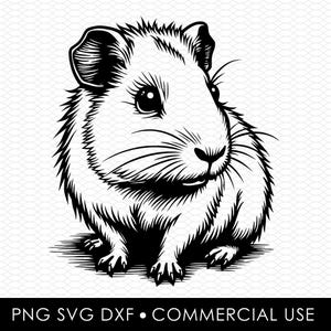 Svg de cochon d'Inde, png de cochon d'Inde, dxf de cochon d'Inde, fichier de coupe cochon d'Inde, dessins par sublimation, dessins png, dessins svg, dessins découpés au laser