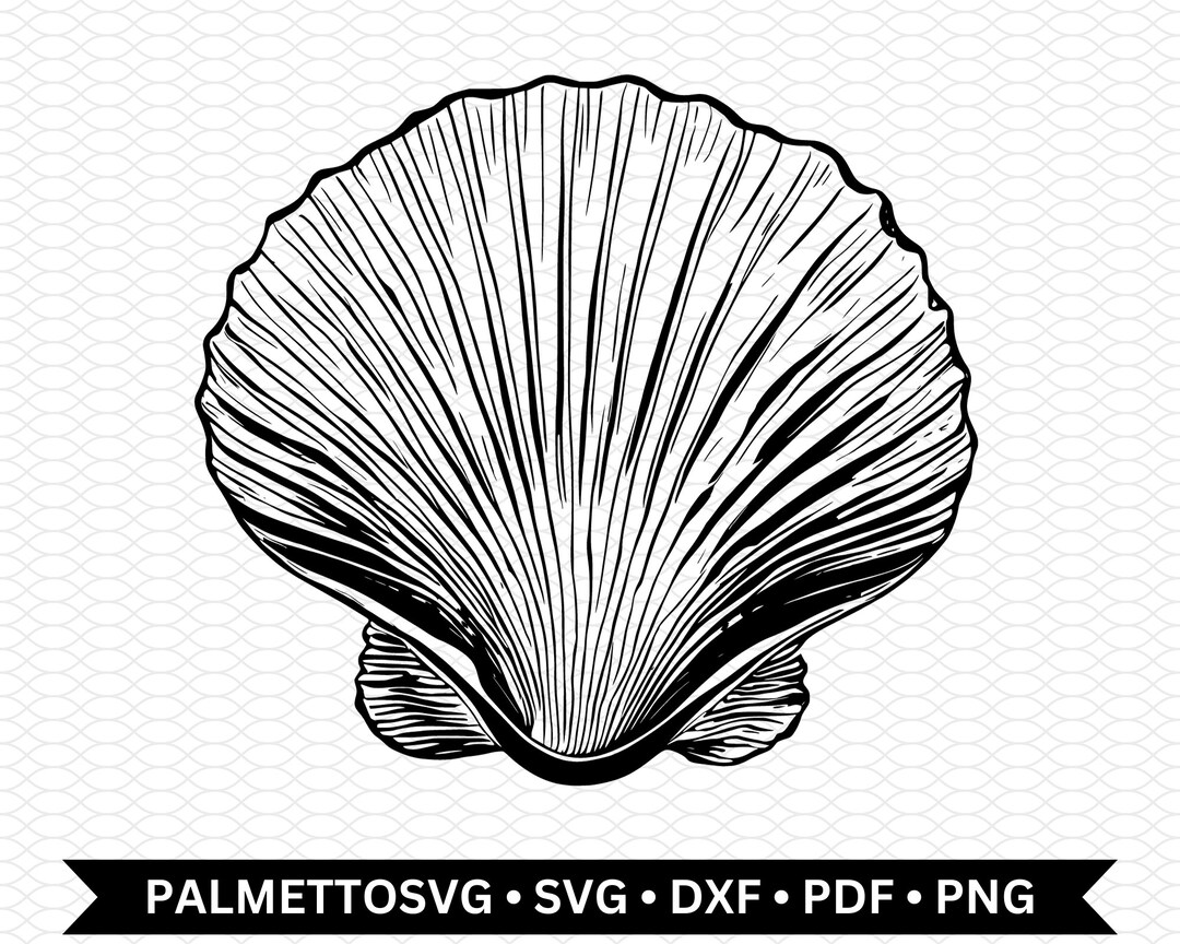 Sea Shell Svg, Sea Shell Dxf, Sea Shell Cut File, Sea Shell Png, Svg