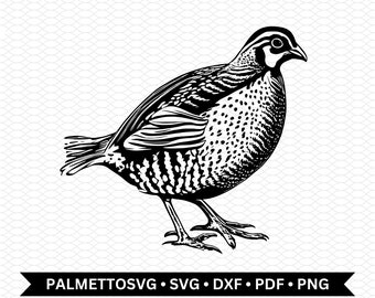 quail svg, quail dxf, quail cut file, quail png, quail clip art, cricut download, commercial use, digital download