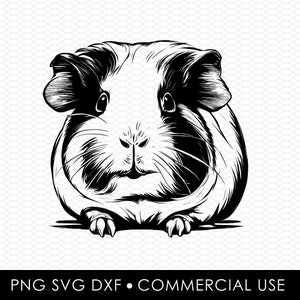 guinea pig svg dxf png, laser cut file, sublimation design, svg cut file, laser burn file, sublimation png, laser engraving, cricut download