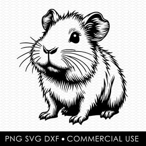 guinea pig svg dxf png, laser cut file, sublimation design, svg cut file, laser burn file, sublimation png, laser engraving, cricut download