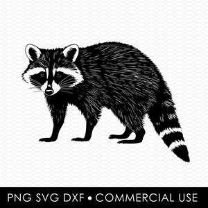 raton laveur svg png, png raton laveur, dessins par sublimation, dessins png, dessins svg, dessins découpés au laser, dessins cricut, fichier dxf, usage commercial