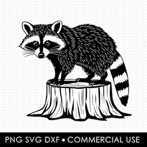 raccoon svg dxf png, laser cut file, sublimation design, svg cut file, laser burn file, sublimation png, laser engraving, cricut download