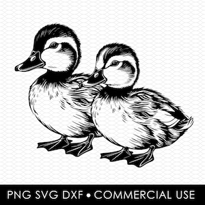 duck svg dxf png, laser cut file, sublimation design, svg cut file, laser burn file, sublimation png, laser engraving, cricut download