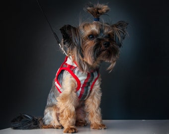 Small Dog Harness Red HarnessCustom Dog Harness Pet Harness Dog Vest Harness Small Dog Clothes Small Dog Collar Cat Harness Vest Dog Vest