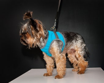 Walkies in the Little Dog Harness Dog Harness Cat Harness  Blue Dog Harness Blue Cat Harness Dog Collar Cat Collar Matching Dog Harness