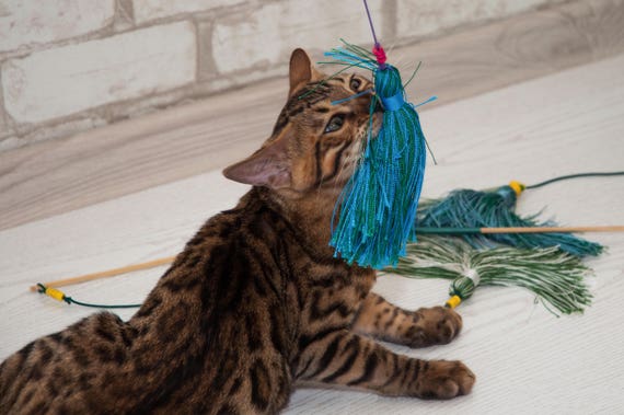 personalized cat toys