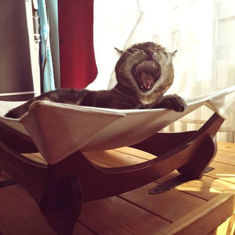 Personalized Dog Hammock Cat Hammock Dog Hammock Dog Bed Etsy