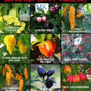 9 hottest chili peppers in the world, 90 seeds, SUPER HOT 10+++, pack (10)