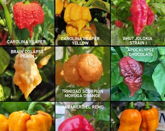 Chiles mas picantes del mundo , super hot ,9 variedades, 90 semillas, pack(2)
