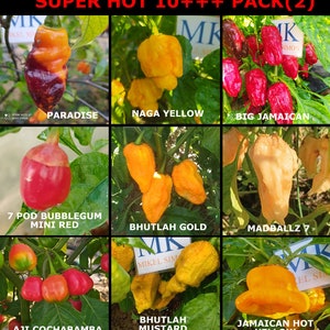 SUPER HOT 10+++, 9 hottest chilies in the world, 90 seeds, pack(2)