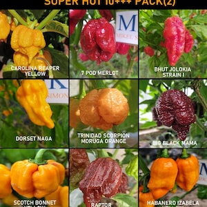 Puede incluir: Imagen que muestra nueve variedades de chiles súper picantes, incluyendo Carolina Reaper Yellow y Dorset Naga. Los pimientos se muestran en varios colores, desde amarillo y naranja hasta rojo y morado oscuro, con etiquetas que identifican cada tipo.