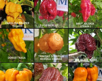Chiles mas picantes del mundo , super hot ,9 variedades, 90 semillas, pack(2)