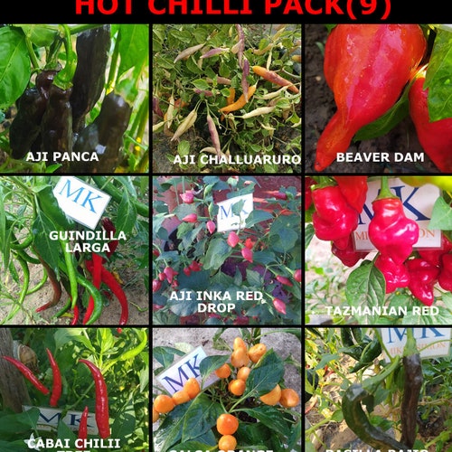 HOT CHILLI,9 varieties of chili peppers,9 X 10,90 seeds,seeds (9)