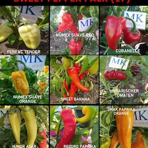 Sweet Pepper, 9 varieties of peppers, 90 seeds, seeds (17)