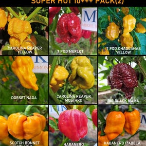 Chiles mas picantes del mundo , super hot ,9 variedades, 90 semillas, pack(2)
