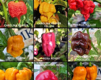 Chiles mas picantes del mundo , super hot ,9 variedades, 90 semillas, pack(2)