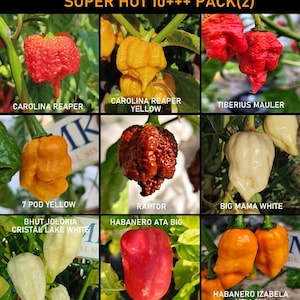 Può includere: Una griglia di nove peperoncini con etichette di testo: SUPER HOT 10+++ PACK(2), Carolina Reaper, Carolina Reaper Yellow, Tiberius Mauler, 7 Pod Yellow, Raptor, Big Mama White, Bhut Jolokia Cristal Lake White, Habanero Ata Big e Habanero Izabela Yellow.