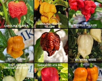 Chiles mas picantes del mundo , super hot ,9 variedades, 90 semillas, pack(2)