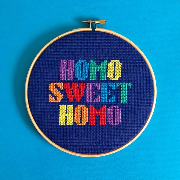 easy cross stitch pattern, homo sweet homo cross stitch pattern, lgbt housewarming gift, easy pdf pattern, beginner chart, easy diy gift