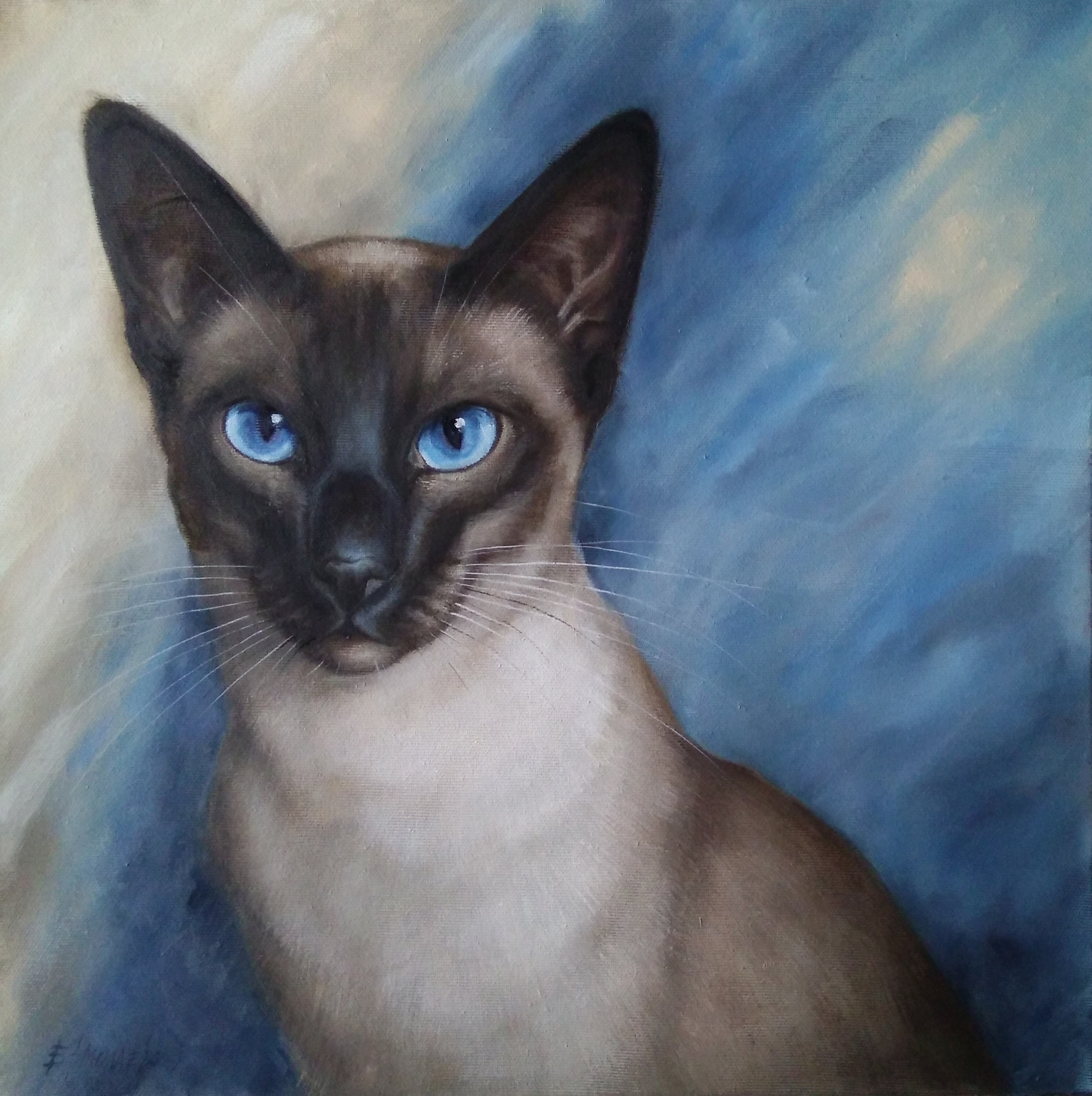 Oil painting Siamese Cat Portrait Animal Picture Cat Art | Etsy