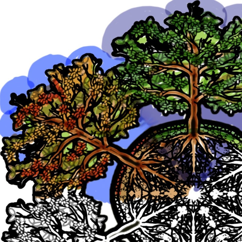 Download Earth Day Tree Mandala Coloring Page Printable Download | Etsy