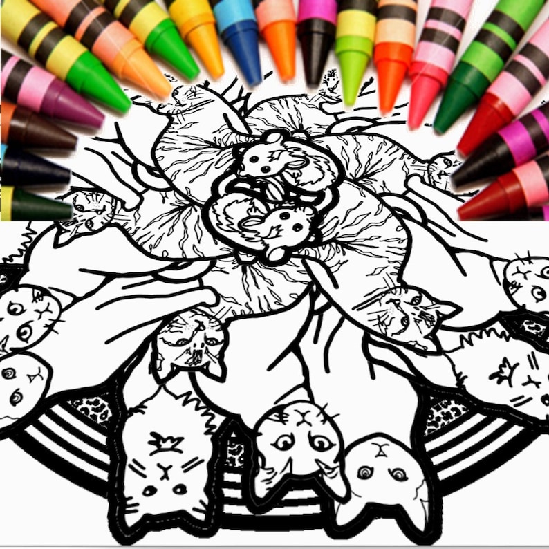 Cat Mandala Coloring Page Printable Download | Etsy