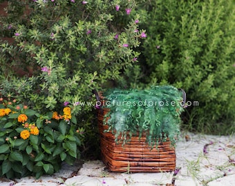 Digital Backdrop for Newborn Photography