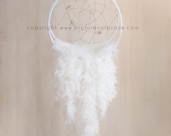 Dreamcatcher Digital Backdrop for Newborn Photographers