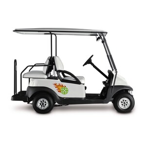 Puede incluir: Un carrito de golf blanco con un marco negro y un techo negro. El carrito tiene dos asientos y un gr&aacute;fico de pickleball en llamas en el lateral.