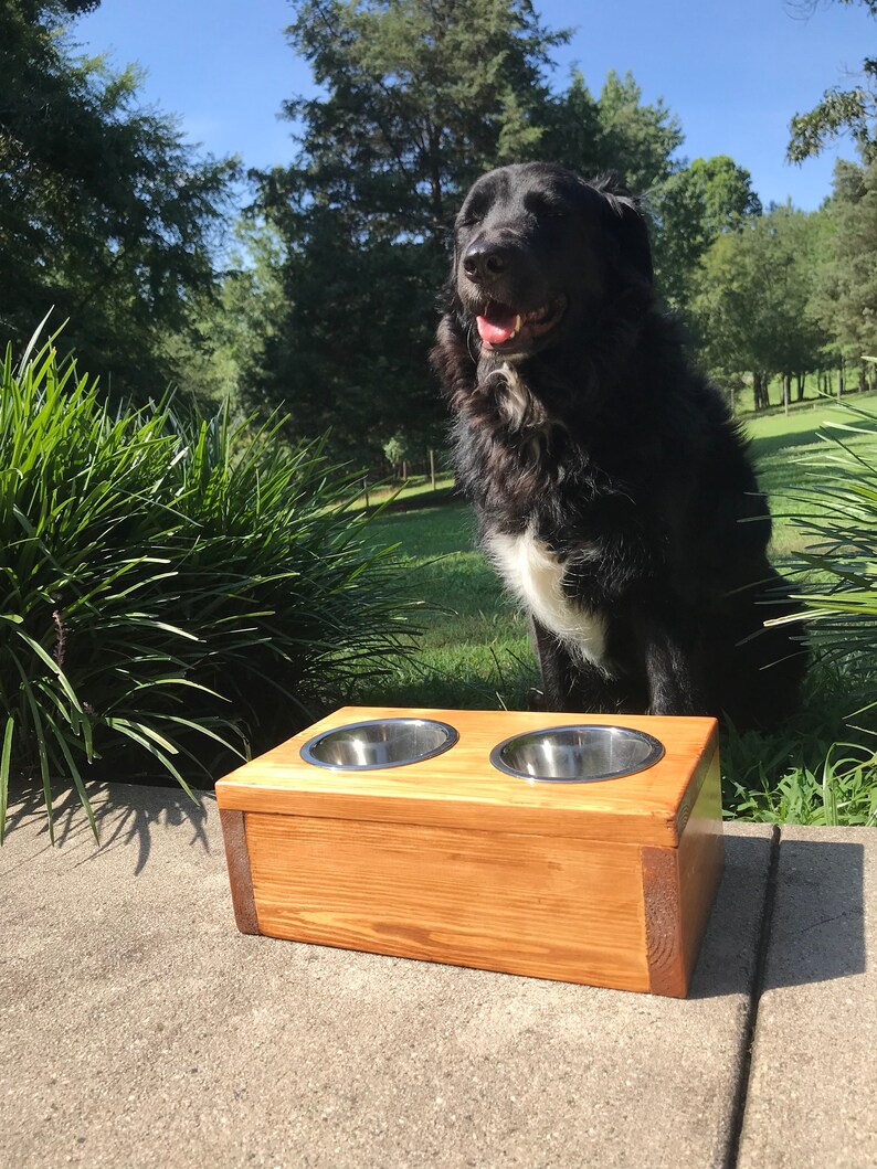 Small Two-Bowl Wooden Pet Feeding Station