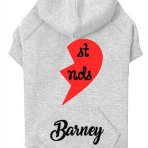 May include: Gray hooded dog sweater with a red heart that says "Best Friends" and the name "Barney" printed on the front.