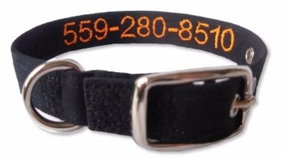 chip activated cat feeder