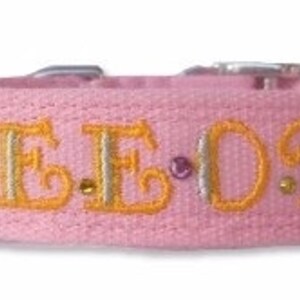 Custom Embroidered Bee otch Dog Collar
