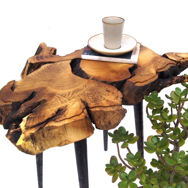 Live Edge Tree Root End Table Etsy